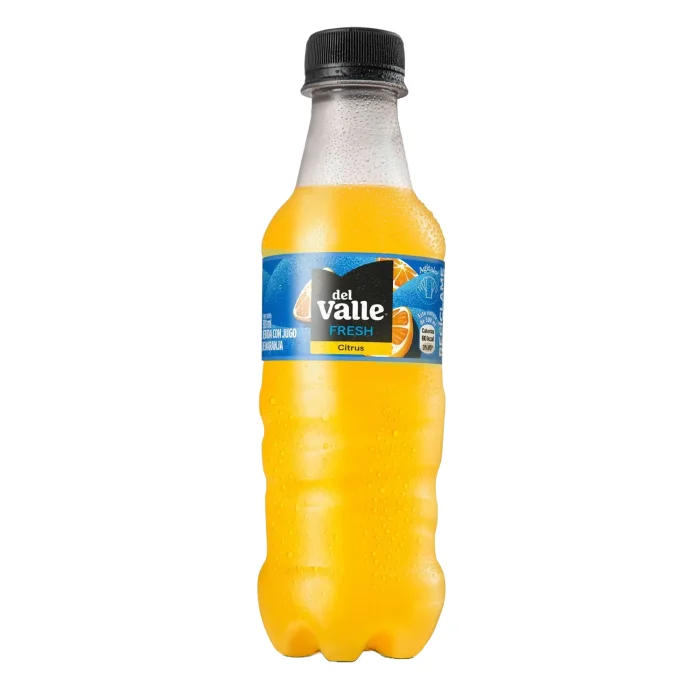 JUGO DEL VALLE CITRUS 300 ML